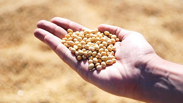 Sabah (Турция): рекомендации о чудо-продуктах от экспертов! Очищают почки